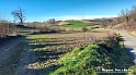 20230110_143005 - Dalla terra... il grano